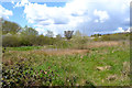 Scrub and wetland south of the Alan Higgs Centre, southeast Coventry