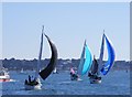 SZ0289 : Three Sails by Gordon Griffiths