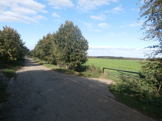Common Lane and Adjoining Crop Field