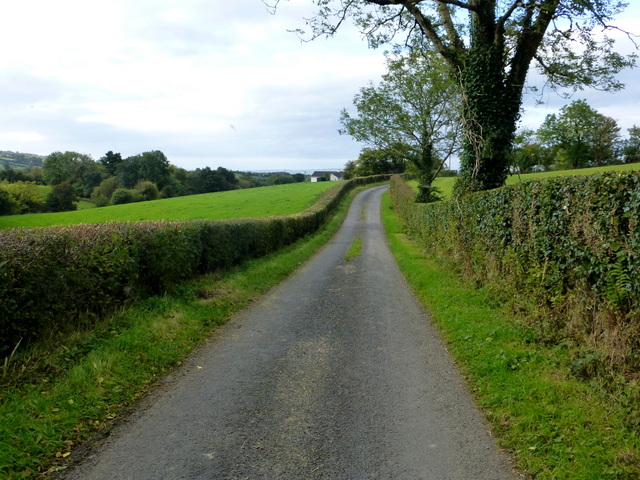 Castleroddy Road © Kenneth Allen :: Geograph Ireland