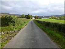 H4681 : Castleroddy Road, Castleroddy Glebe by Kenneth  Allen
