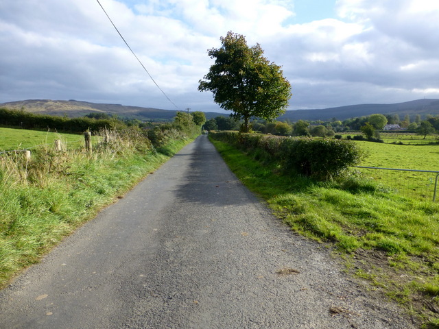 Castleroddy Road © Kenneth Allen cc-by-sa/2.0 :: Geograph Ireland