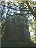 SD3686 : Finsthwaite Tower by Karl and Ali