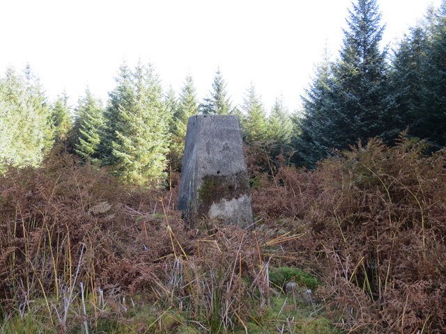 Trig point on Barr Iolaich 116m Surrounded by forest