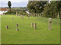 Fitness trail in wood