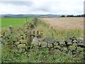 Public footpath to Knabhall Lane