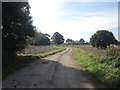 The lane to Balne Croft