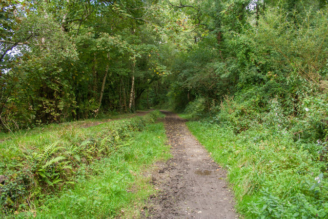 Rolle Canal © Guy Wareham cc-by-sa/2.0 :: Geograph Britain and Ireland