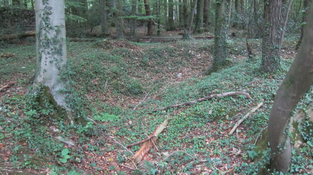 The Conygar woods contain many small excavated depressions-possibly stone quarries or lime burning pits?