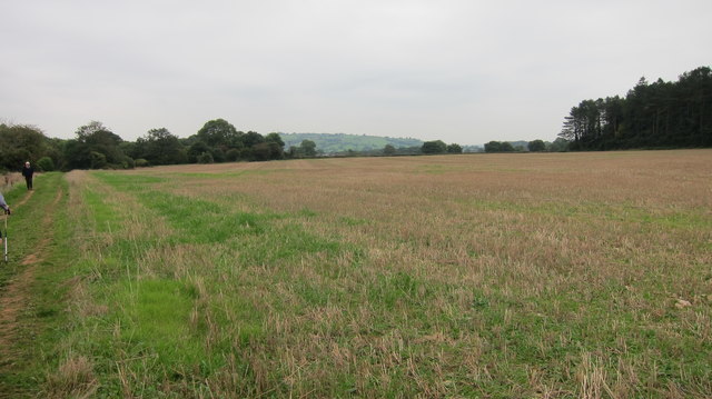 Recently harvested arable crop on the summit of Barrow Hill