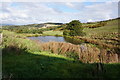 Pond at Thurstonland