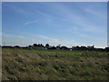 Plumtree Farm from the canal