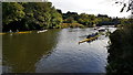 Boats waiting for the Long Distance Sculls race below Sheepwash Bridge