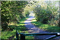 National Cycle Route 467 towards Markham Colliery