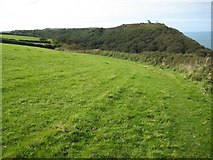 SS2926 : The coast path near Brownsham Cliff by Philip Halling
