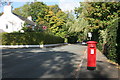 Pillar box, Broad Lane, Hale