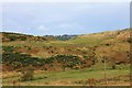 Ardlogie Farmland