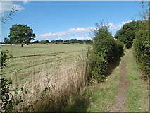 TQ2393 : Path to Totteridge Common by Marathon