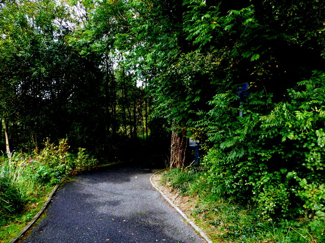 Highway To Health Path Cranny © Kenneth Allen Cc By Sa20 Geograph