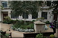 View of the garden in Fen Court