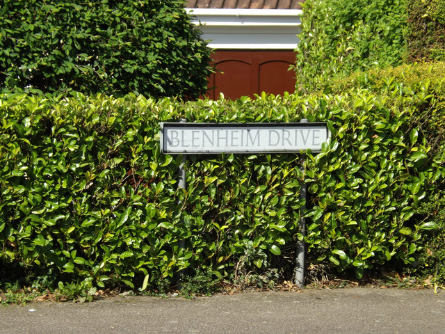 Blenheim Drive sign