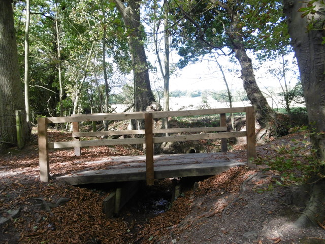 Footbridge over a tributary of the Folly Brook