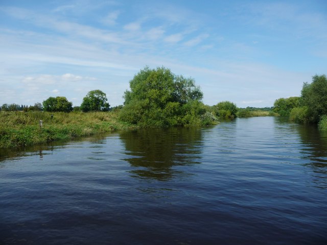 West bank, River Ouse, at South Ings © Christine Johnstone :: Geograph ...