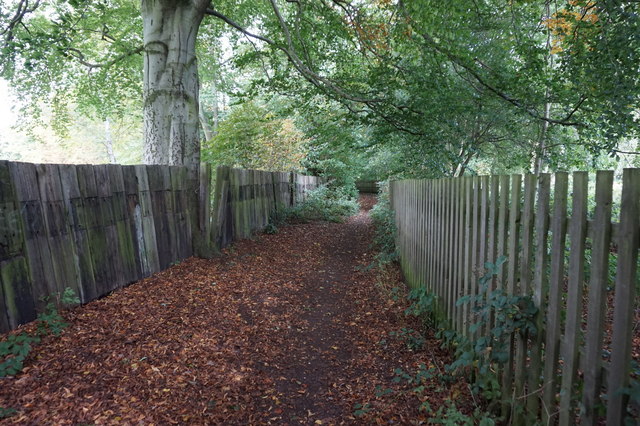 Path leading to Meltham Road