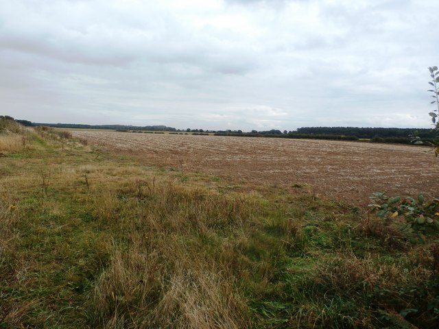 Field near Bawtry Road