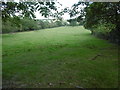 View from Burtonhole Lane near Burtonhole Farm