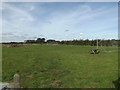 TM0691 : Old Buckenham Recreation Ground by Geographer