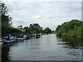 SE6047 : River Ouse, looking upstream [locally north] by Christine Johnstone