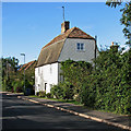 Cherry Hinton: The Old Rosemary Branch