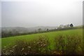 Farmland, Cuskayne Farm