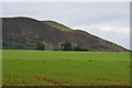 Black Hill from Georgefield