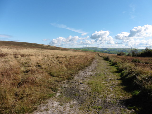 Track on Trentishoe Down © Roger Cornfoot cc-by-sa/2.0 :: Geograph ...