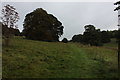 Footpath leading towards Chalkdell Wood