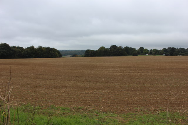 Field with path ploughed over