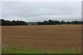 Field with path ploughed over