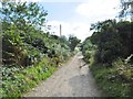 Wareham, bridleway