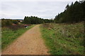 Bridleway at Oxclose Wood