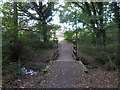 Footpath with bridge to Crawley Down