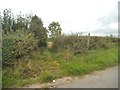 Barnsley Footpath