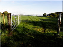 H4074 : An open gate, Mullagharn Townland by Kenneth  Allen