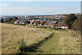 Footpath to Springfield Drive