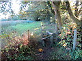 Llwybr ger Ffarm y Gors / Path near Gors Farm