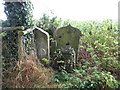 SO6851 : Broken gravestones, Stanford Bishop by Jonathan Thacker