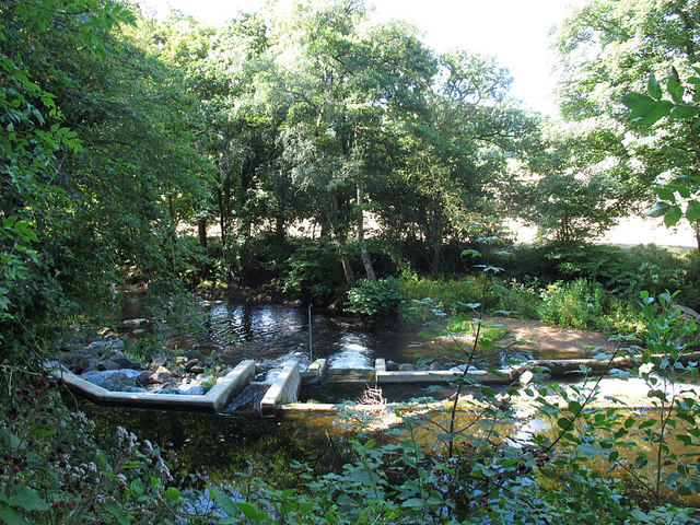 Weir on the Teign above Sowton Mill (2)