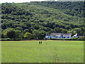 Field in the valley bottom