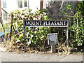 Mount Pleasant sign